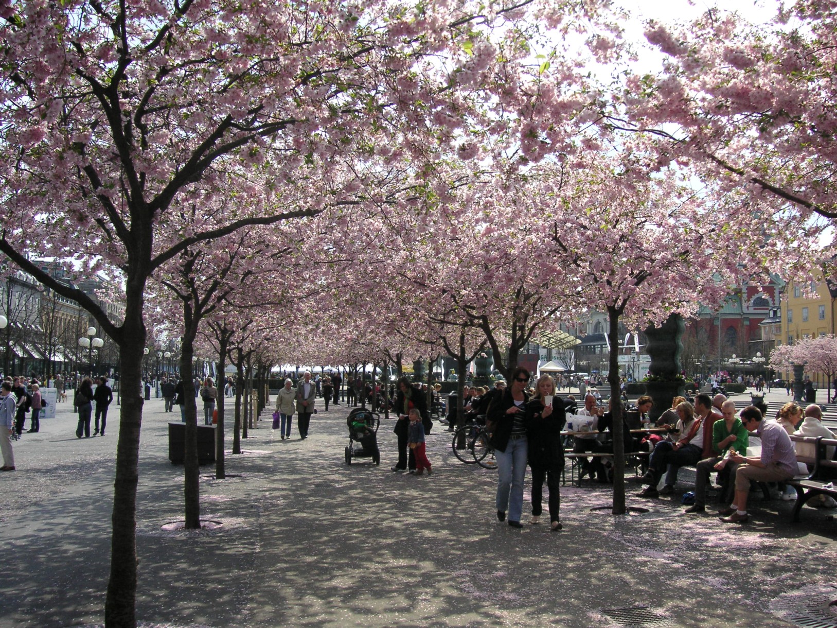 Kungstradgarden 2008.jpg — illustrating What Is Kungsträdgården? Stockholm’s Royal Garden Explained