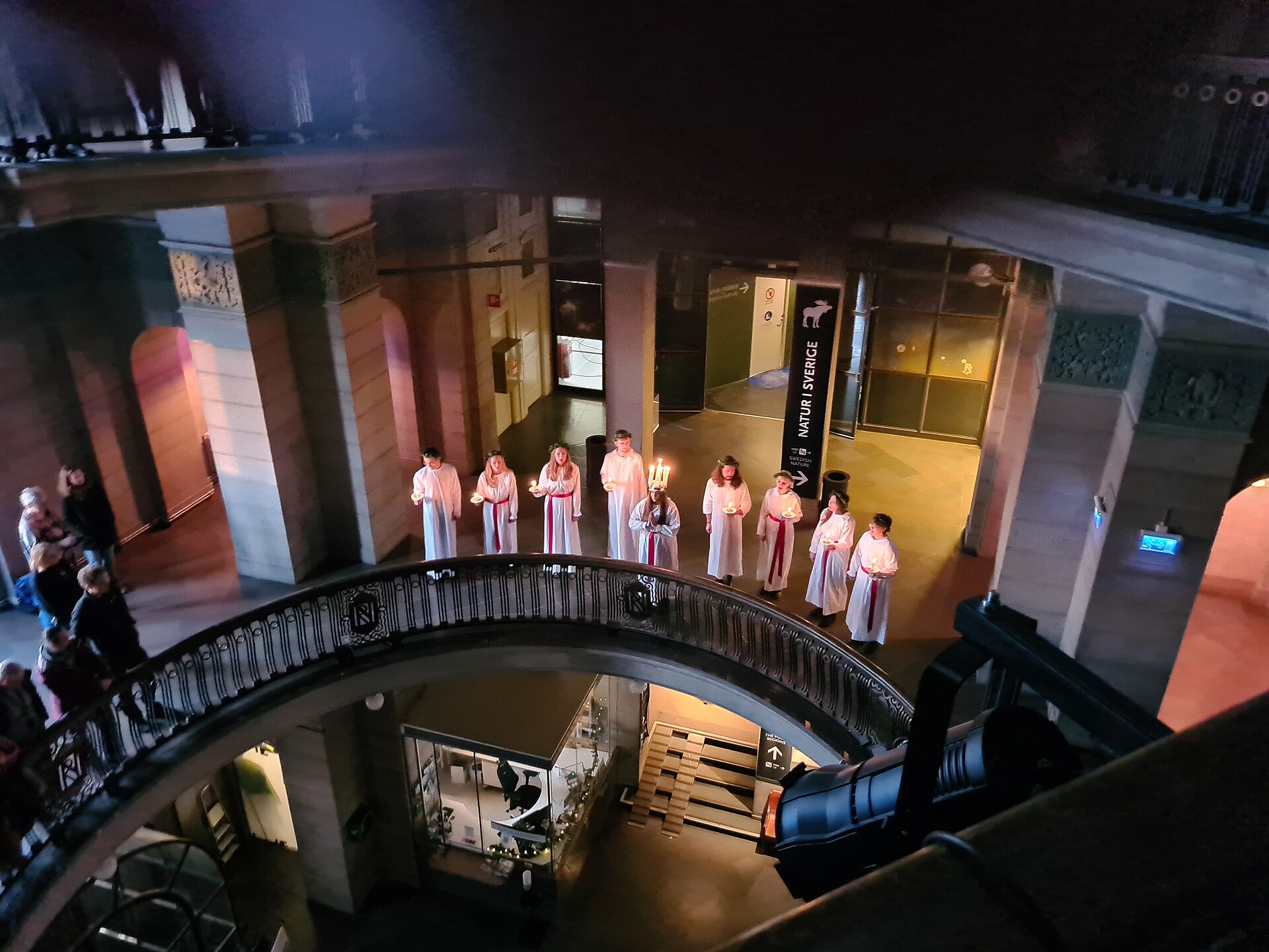 Lucia på Naturhistoriska riksmuseet