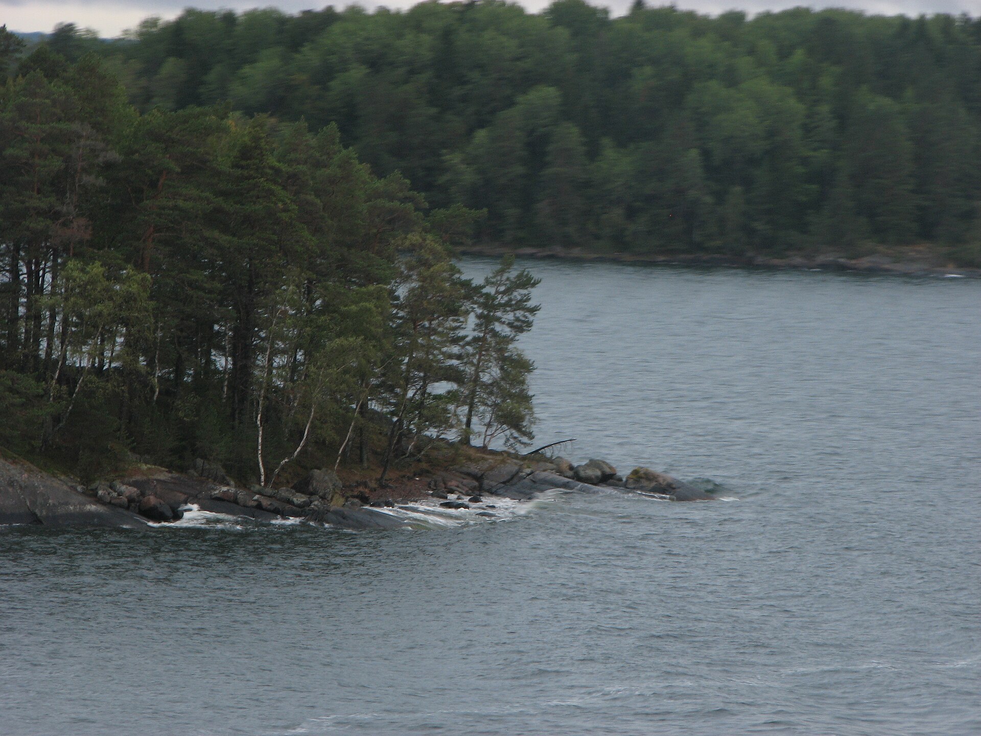 Shoreline and water in the Stockholm archipelago