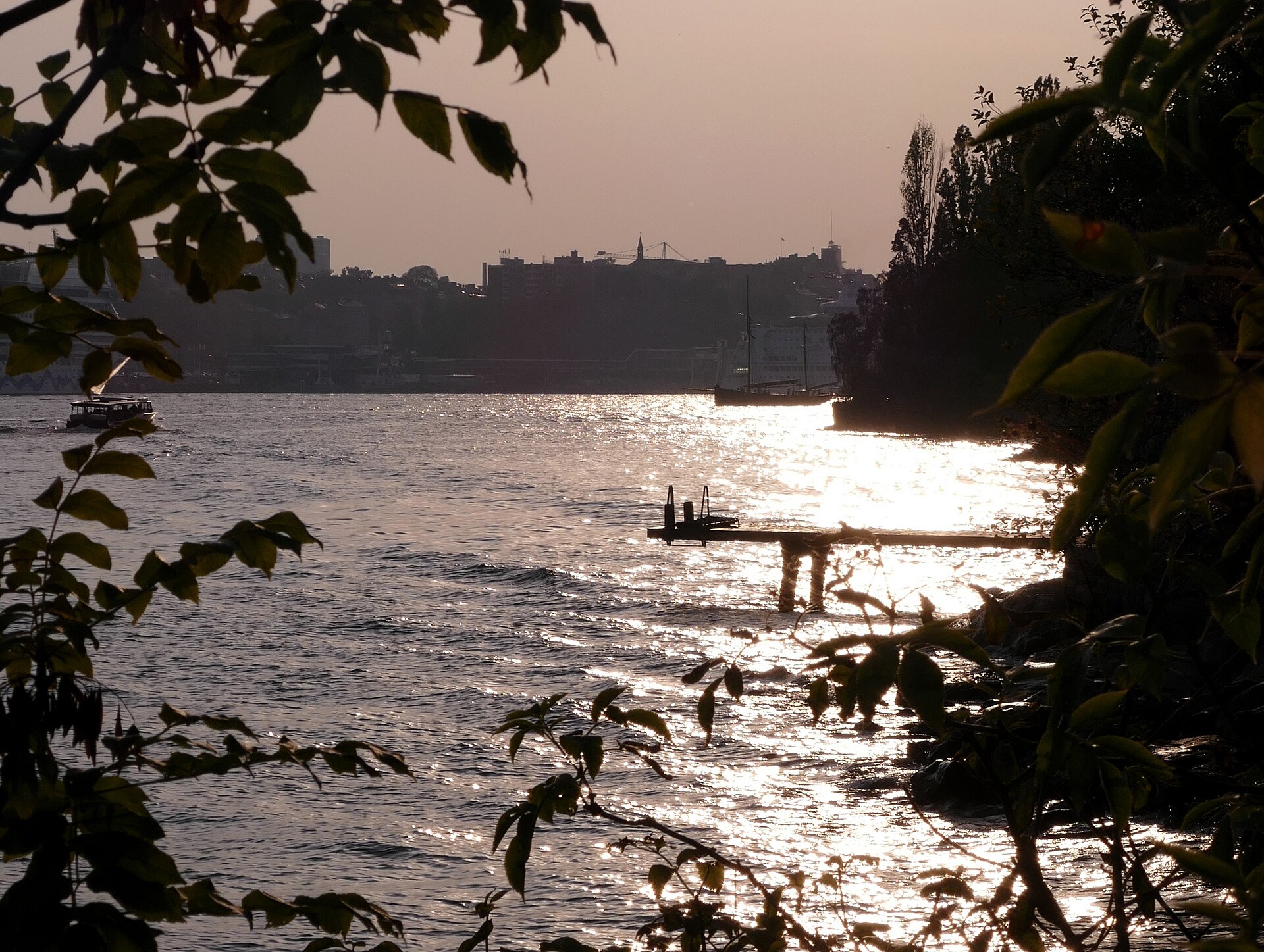 Södra Djurgården, kvällsvy mot centrala Stockholm, P1250985.jpg